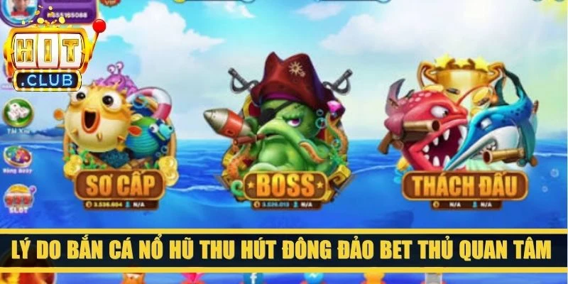 Lý do bắn cá nổ hũ thu hút đông đảo bet thủ quan tâm và tham gia mỗi ngày