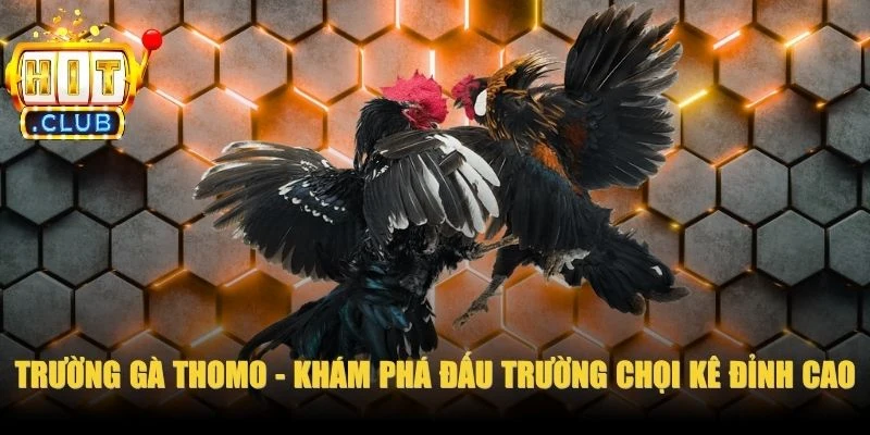 Trường Gà Thomo